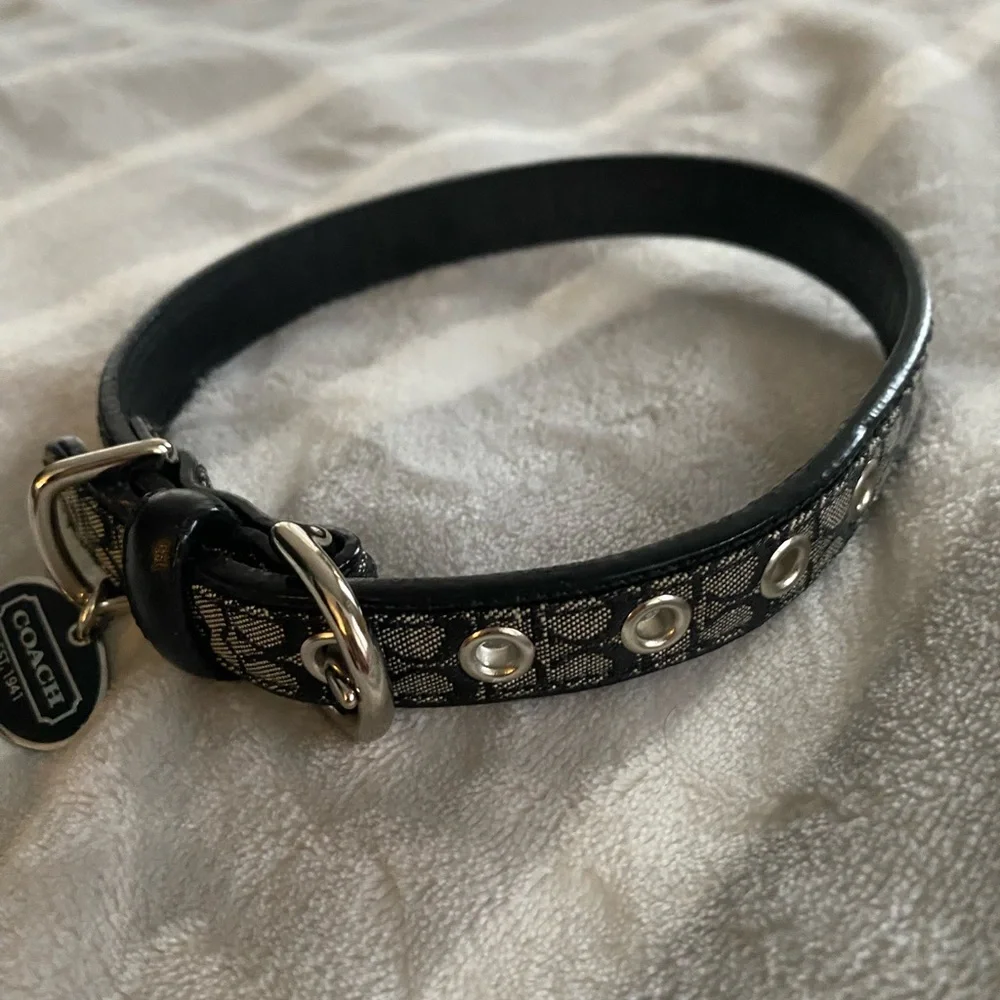 Coach Dog leash and collar